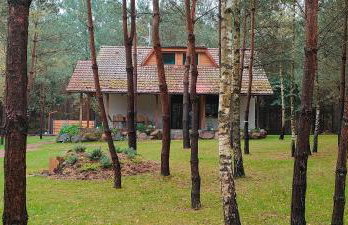 Leśna Kryjówka domki w lesie - Foto 35