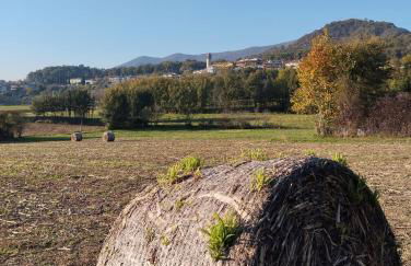 Memi's Home - villetta relax per famiglie con giardino - Foto 28