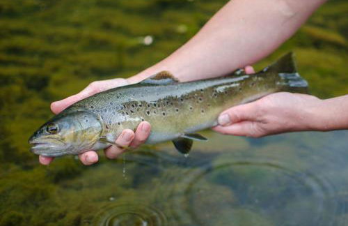 Chateau De Val - Photo 19