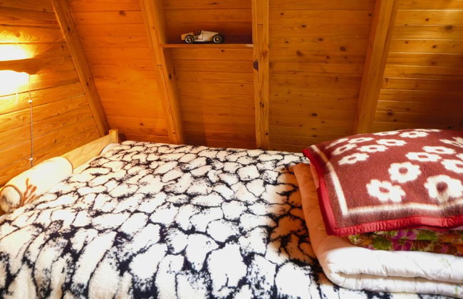 Holiday Home in Kashubia Near Lake - Photo 4