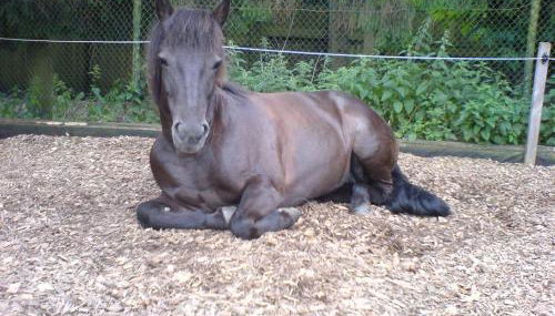 Ferienhof Steinbruch - Foto 5
