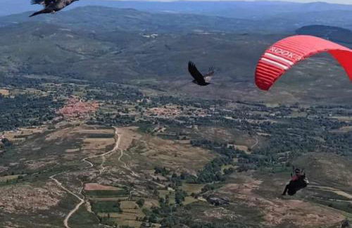 Casa do Sobrado-Gralhas-Montalegre - Foto 33