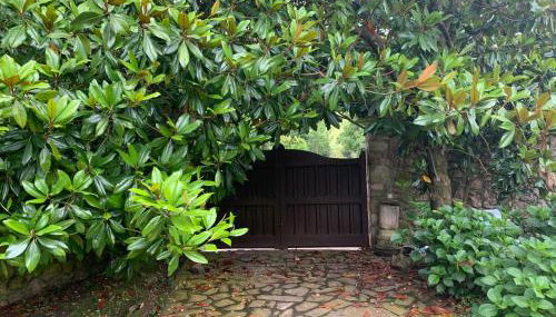 Casa Rural Erre Q Erre - Foto 1, Garden