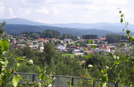 Ferienwohnung Langdorf - Foto 2