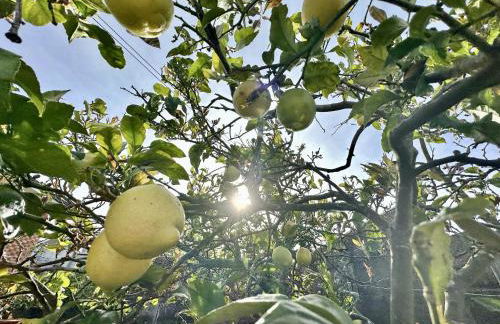 Villa Currina - 7801 - Foto 33