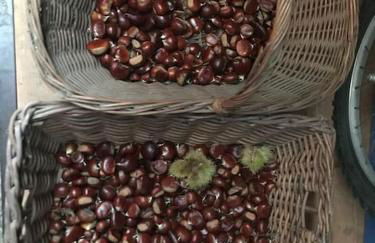 TOT'I Dè BARACA - Photo 9