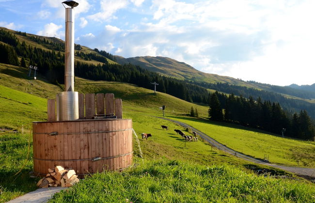 Alpine Premium Chalet Wallegg-Lodge - Foto 15