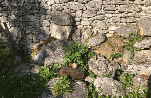 Gite Roche Blanche - Foto 8