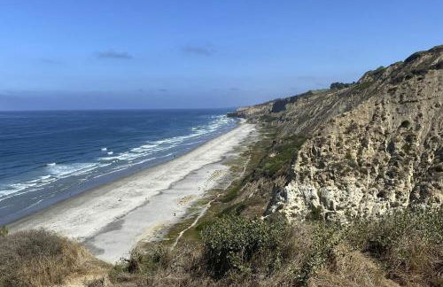 Walk to Torrey Pines Beach! Beachwalk Bungalow - Photo 30