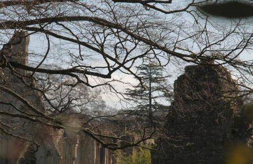 No 28B St Benedict - Photo 14