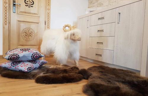 Apartamenty Jędrol - Foto 11