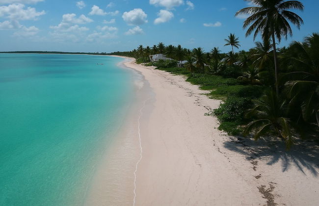 The Suite Life - Foto 47