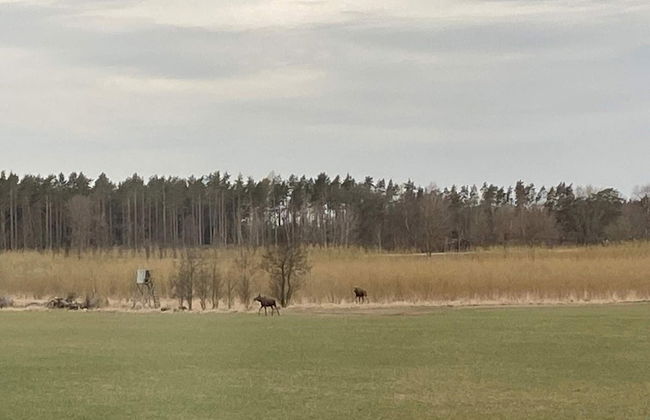 6 Person Holiday Home in Grastorp-by Traum - Foto 14