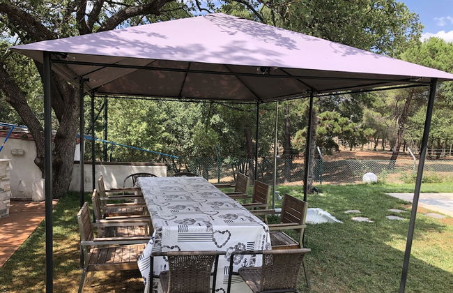 Bellavista - Foto 69