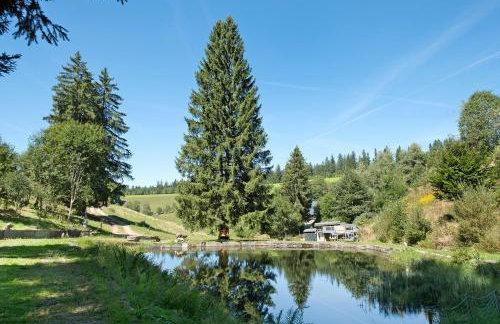 Grundhäusle Gütenbach - Foto 29