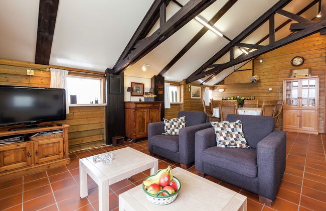 Holiday Home in Oisterwijk With Private Pool - Foto 9