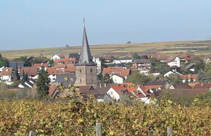 Ferienwohnung Zum Weinberg bis 4 Personen - Im Herzen der Pfalz - Foto 49