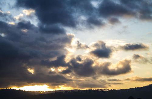 L'Olivier Fleurie Barjols - Foto 47