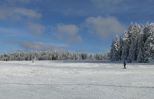 Ferienwohnung Glashütte - Foto 29