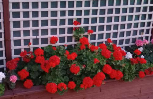 Thetis Apartment - Photo 26