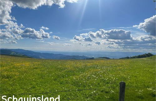 Toscana-Residenz im Schwarzwald - Foto 29