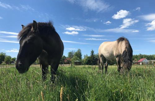 Domek Walentinki - Foto 47