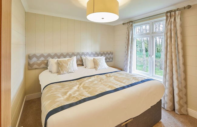 Host Stay Salt Seaweed - Foto 6