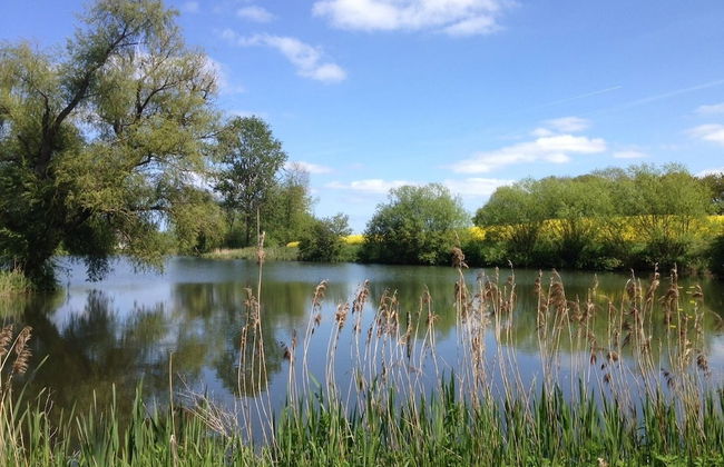 Ferienhof Gut Oestergaard - Photo 55