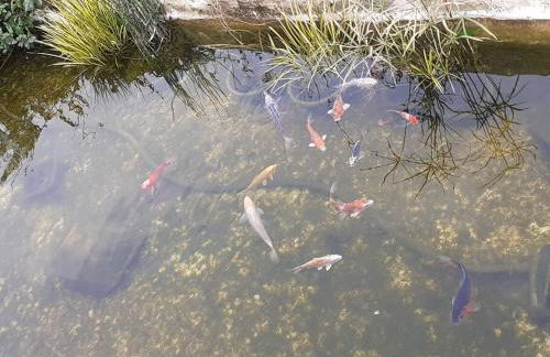 Flower house - Foto 25