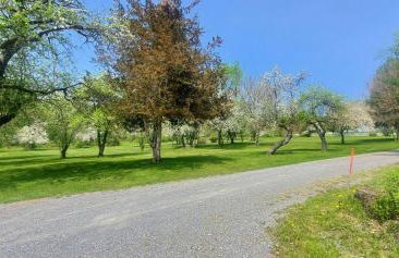 Old Orchard House - Foto 39