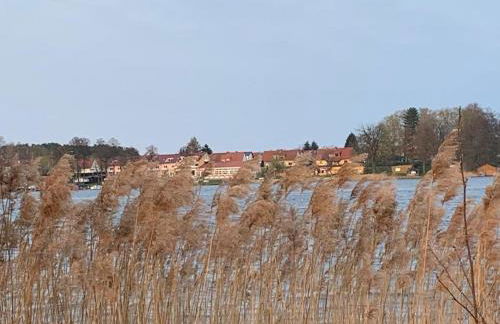 Schwantje Mirow 6a - Photo 5