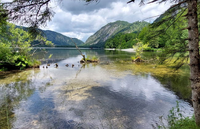 Adlerhorst / Top 5 - Foto 42