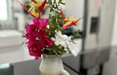 Flora's Garden Apartment/Studio - Foto 26