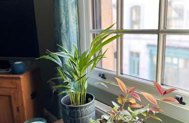 Elegant town house in Stroud - Foto 11