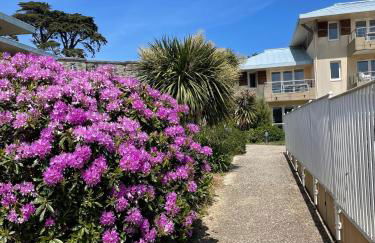 Appartement cosy les pieds dans l’eau, vue mer exceptionnelle - Foto 19
