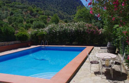 Finca Barreras - Photo 31