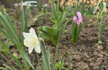 Bieszczady ClaraArt - Foto 57