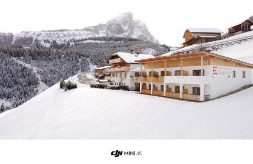 Hotel Elisabeth Panorama - Photo 1