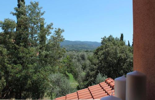 Agriturismo Tra gli Ulivi, Chiappini Winery - Photo 40