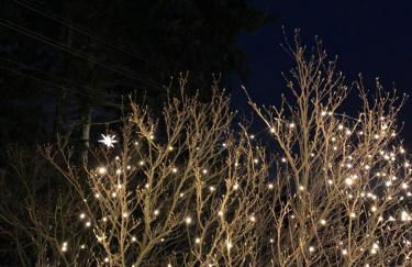 # 97 - die Ferienwohnung am Sachsenring - Foto 36