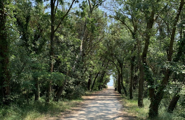 Baby's Bungalow - Foto 54