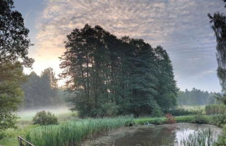 Dom i Domki nad Tanwią Roztocze - Foto 6
