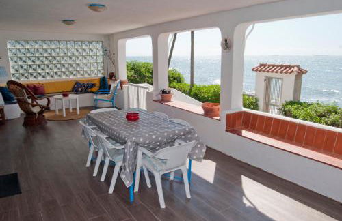 Sargantana Blava - Foto 12