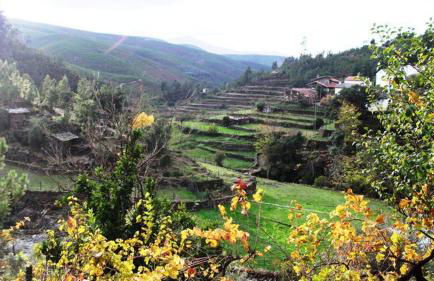 Refúgio da Estrela - Foto 47