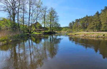 Leśna Przystań Bory Tucholskie - Foto 17