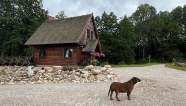 Młyn Glaznoty - Foto 4