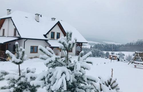 Wilcza Chata - Photo 8