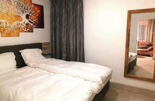 RIVER SIDE near FRANKFURT-AIR CONDITION-PRIVATE PARKING - Foto 23