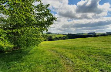 Zum Elleblick - Foto 40