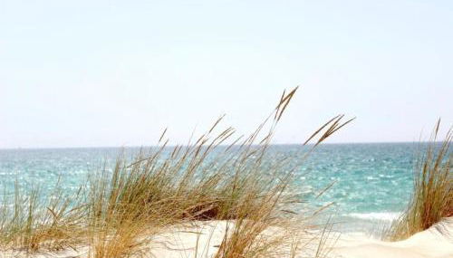 Chalets Paraíso Playa de Mazagón Con Vistas al Mar - Foto 2
